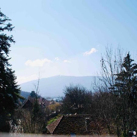 Maison 3 Chambres Au Lac D'Annecy, 30Min La Clusaz Menthon-Saint-Bernard Exteriér fotografie