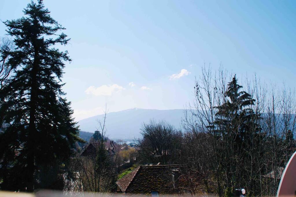 Maison 3 Chambres Au Lac D'Annecy, 30Min La Clusaz Menthon-Saint-Bernard Exteriér fotografie