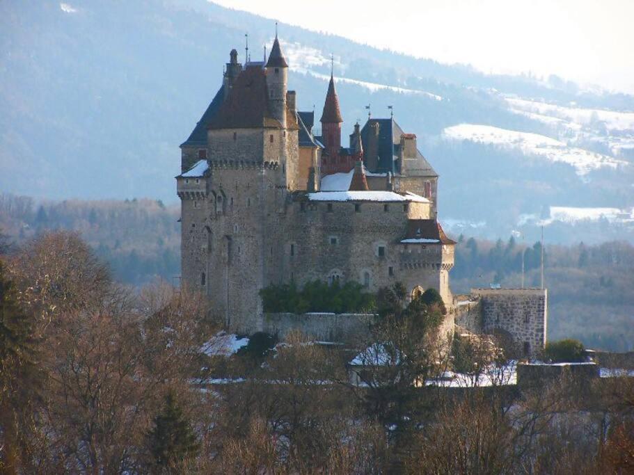 Maison 3 Chambres Au Lac D'Annecy, 30Min La Clusaz Menthon-Saint-Bernard Exteriér fotografie