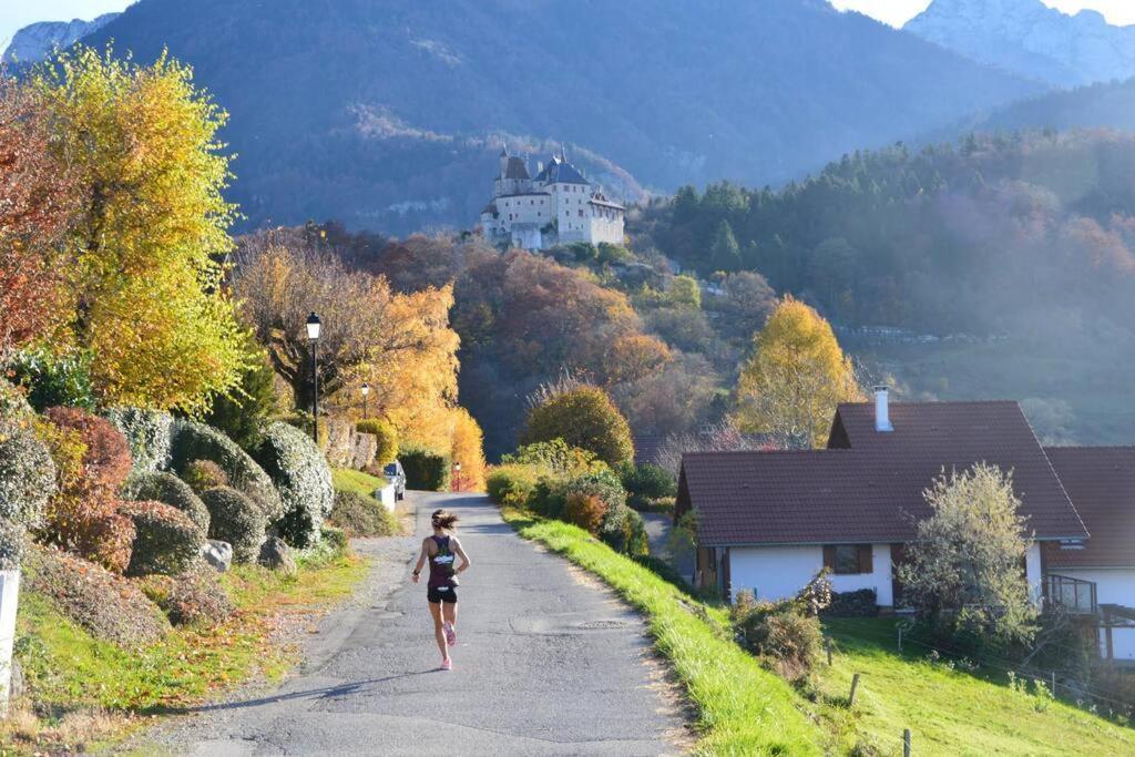 Maison 3 Chambres Au Lac D'Annecy, 30Min La Clusaz Menthon-Saint-Bernard Exteriér fotografie